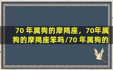 70 年属狗的摩羯座，70年属狗的摩羯座笨吗/70 年属狗的摩羯座，70年属狗的摩羯座笨吗-我的网站